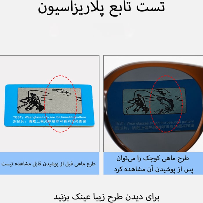 تست پلاریزه عینک دودی