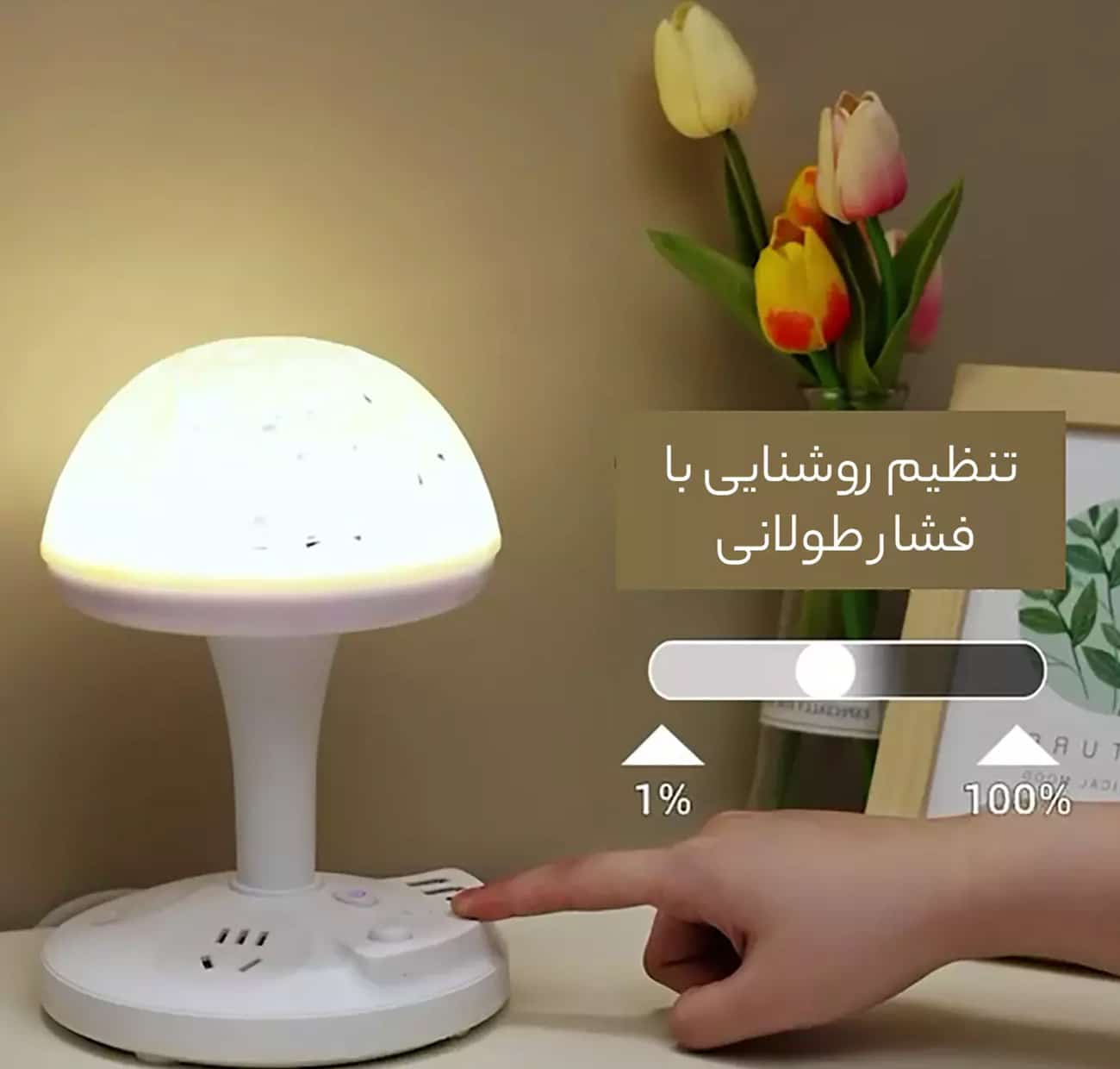 قابلیت تنظیم روشنایی