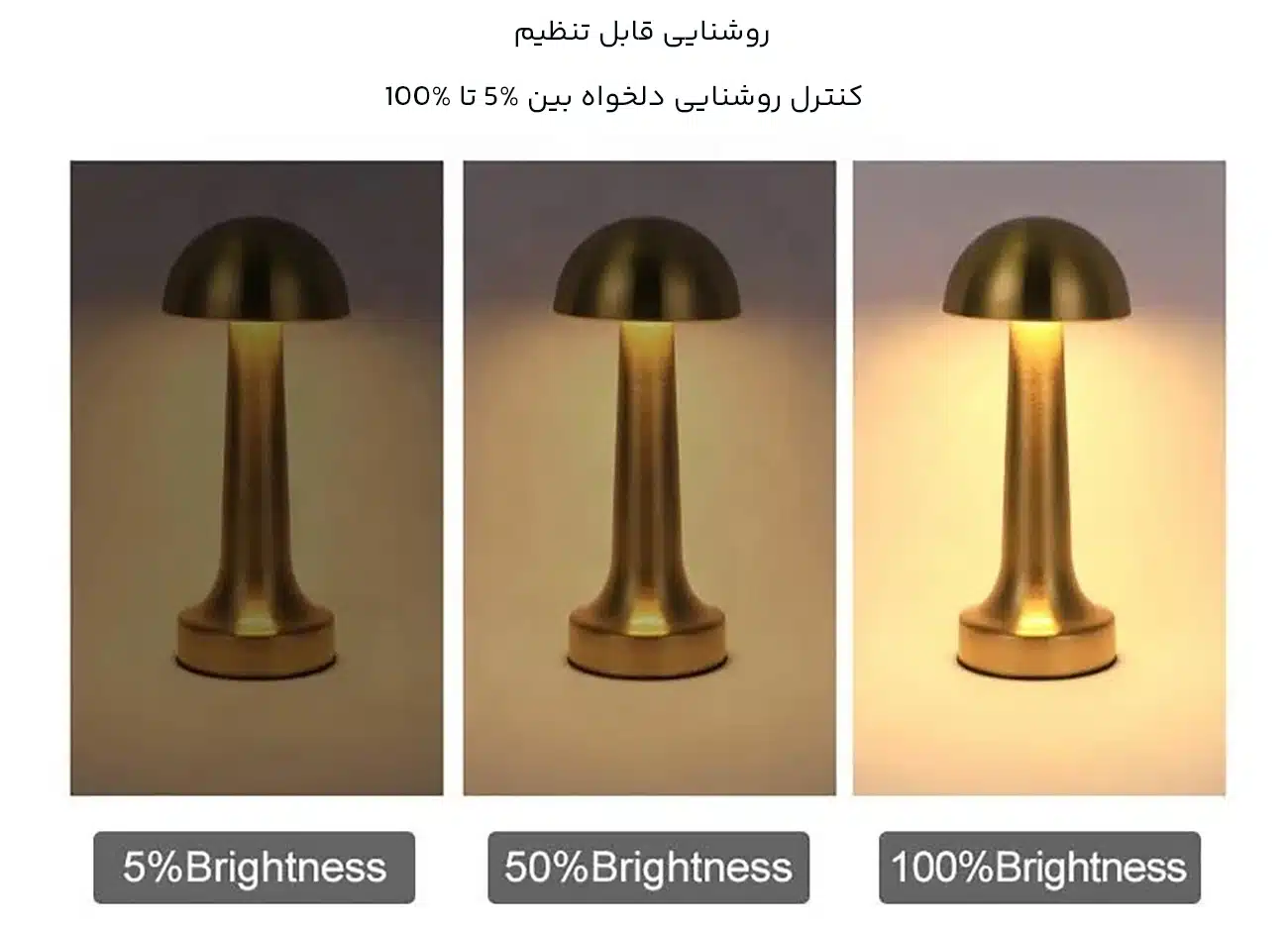 چراغ رومیزی با تنظیم روشنایی