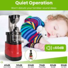 عکس آبمیوه گیری Slow Juicer مدل YX01 ظرفیت 1000 میلی‌لیتر و توان 500 وات - فروشگاه ماه به ماه