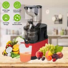 عکس آبمیوه گیری Slow Juicer مدل YX01 ظرفیت 1000 میلی‌لیتر و توان 500 وات - فروشگاه ماه به ماه
