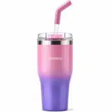 ماگ نی دار دوجداره سانتکو SANTECO مدل HGA-670-001 ظرفیت 670 میلی لیتر