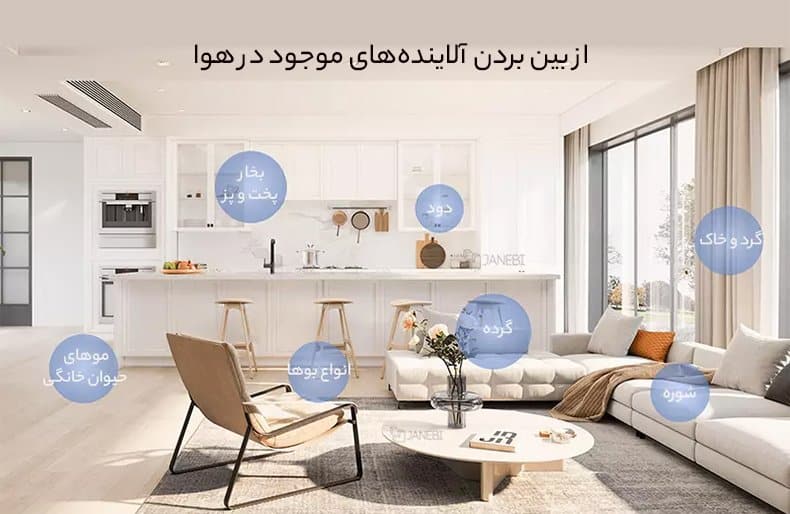 از بین برنده آلاینده ها