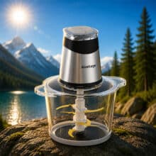 عکس مخلوط کن و آسیاب کن برقی گلتیج Goaltage مدل GT-CHP01-400W ظرفیت 3 لیتر - فروشگاه ماه به ماه